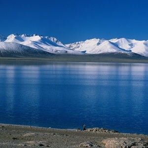 Meet your Posher, Dennis